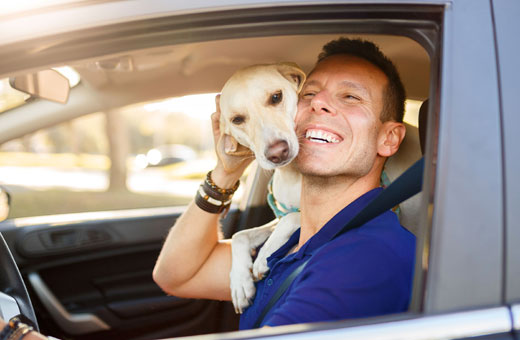 man-dog-new-car